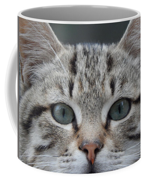 Cat Coffee Mug featuring the photograph The Purrfect Cat by Jan Gelders