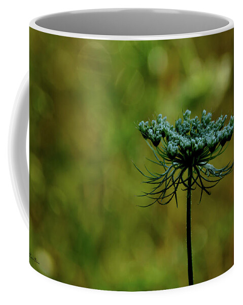 Queen Annes Lace Coffee Mug featuring the photograph The Queen Has Arrived by Lesa Fine