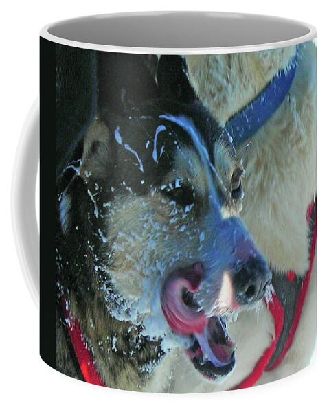 North America Coffee Mug featuring the photograph The Race ... by Juergen Weiss