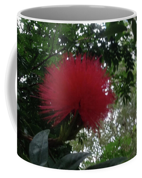 Red Coffee Mug featuring the photograph The Red Flower by Susan Grunin