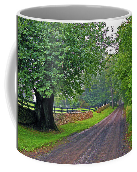 Nature Coffee Mug featuring the photograph The Road Less Traveled by Kay Lovingood