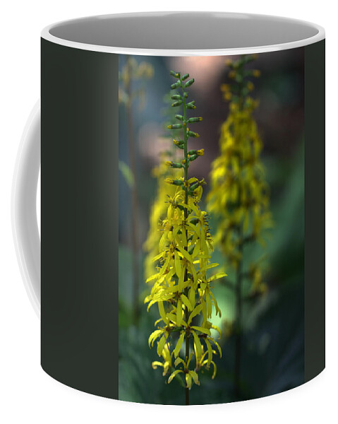 Flower Coffee Mug featuring the photograph The Rocket by Joseph Skompski