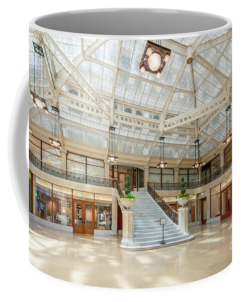 Art Coffee Mug featuring the photograph The Rookery by David Levin