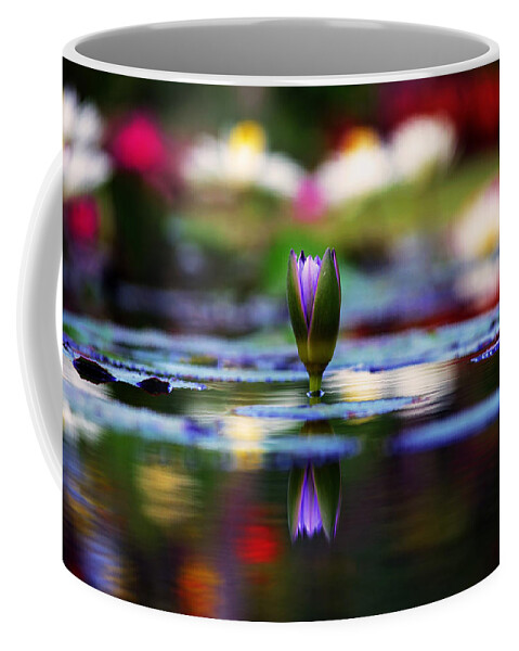 Garden Coffee Mug featuring the photograph The Secret Garden by Melanie Moraga
