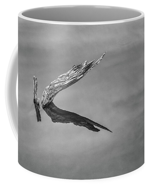 Log Coffee Mug featuring the photograph The Simplest of Things by Penny Meyers
