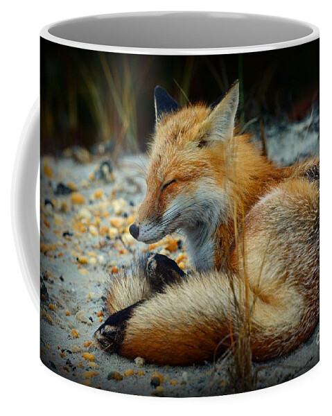 Paul Ward Coffee Mug featuring the photograph The Sleepy Fox by Paul Ward