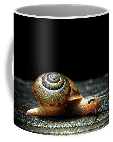 Snail Coffee Mug featuring the photograph The Small Things by Jessica Brawley
