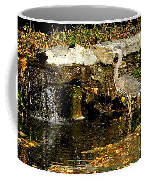 Bird Coffee Mug featuring the photograph The sound of music by Heather King