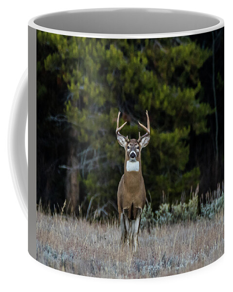 Deer Coffee Mug featuring the photograph The Stag From The Forest by Yeates Photography