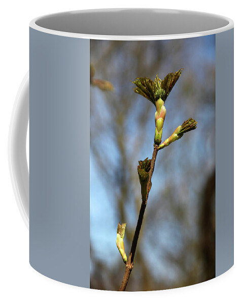 Bradford Coffee Mug featuring the photograph The Start Is Here by Jez C Self