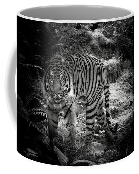 The Sumatran Tiger Coffee Mug featuring the photograph Sumatran Tiger by Jean Francois Gil