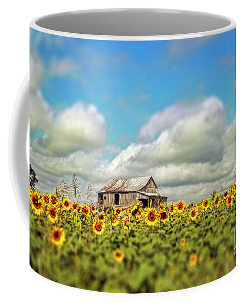 Tiltshift Coffee Mug featuring the photograph The Sunflower Farm by Darren Fisher