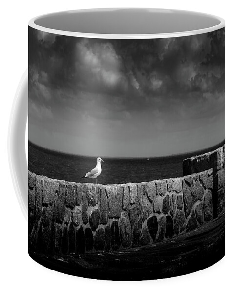 Blumwurks Coffee Mug featuring the photograph The Surveyor by Matthew Blum