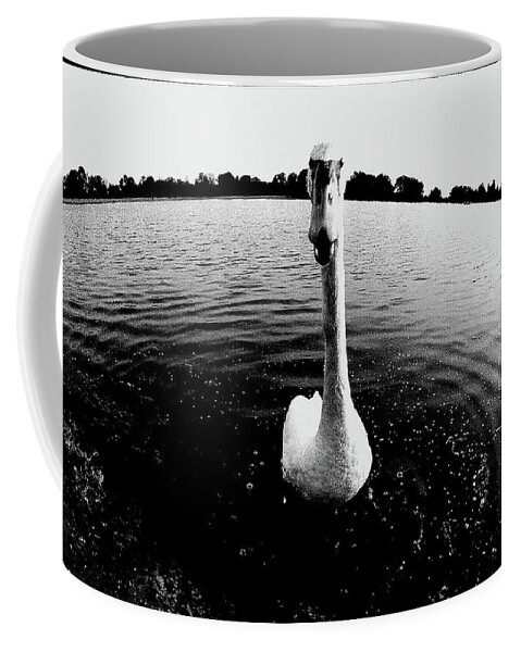Animals Coffee Mug featuring the photograph The Swan by Heinz Baade