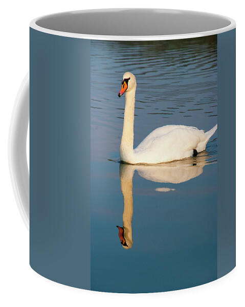 Swan Coffee Mug featuring the photograph The swan by Marco Busoni