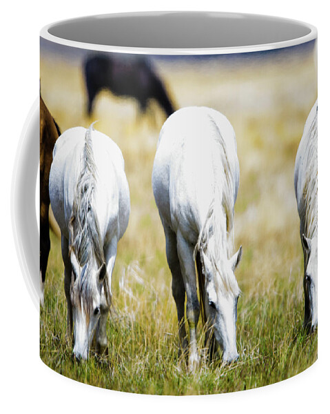 Horses Coffee Mug featuring the photograph The three amigos grazing by Bryan Carter