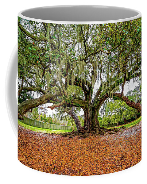 New Orleans Coffee Mug featuring the photograph The Tree of Life by Steve Harrington