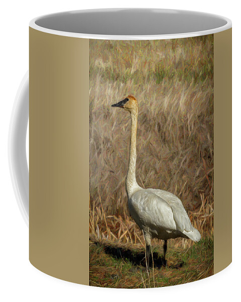 Trumpeter Swan Coffee Mug featuring the photograph The Trumpeter Swan by Belinda Greb