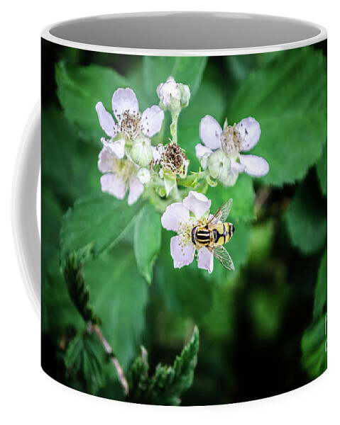 Michelle Meenawong Coffee Mug featuring the photograph The Wasp by Michelle Meenawong