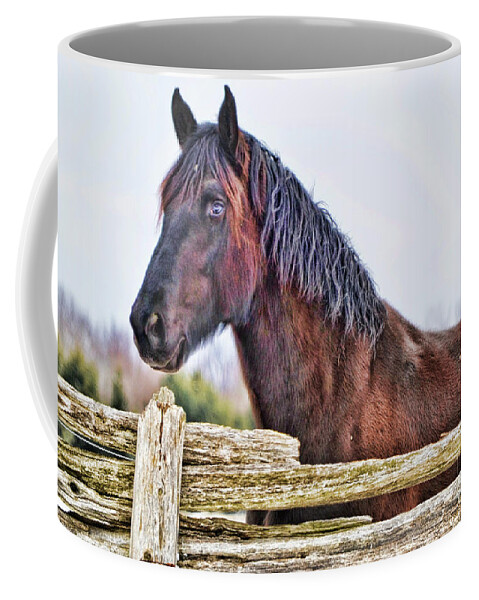 Horse Coffee Mug featuring the photograph The Watcher by Traci Cottingham
