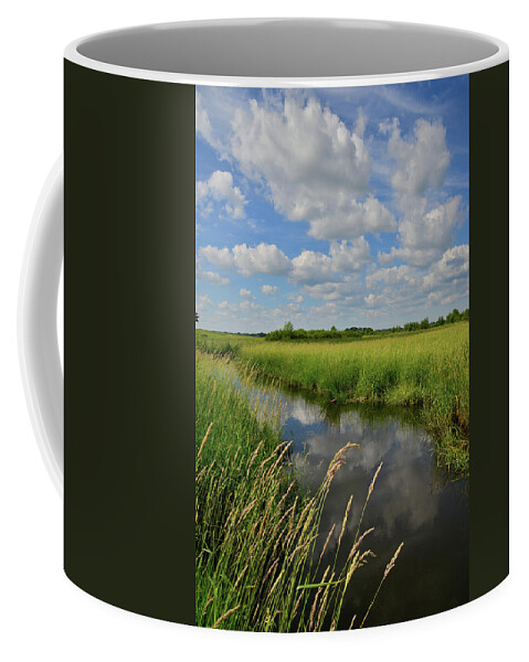 Glacial Park Coffee Mug featuring the photograph The Wetlands of Hackmatack National Wildlife Refuge by Ray Mathis