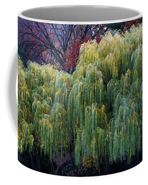 New York City Coffee Mug featuring the photograph The Willows of Central Park by Lorraine Devon Wilke