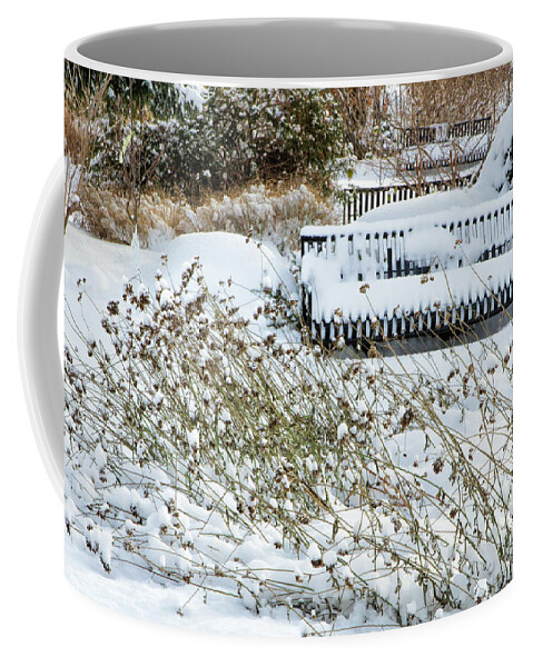 Gardens Coffee Mug featuring the photograph The Winter Garden by Marilyn Cornwell