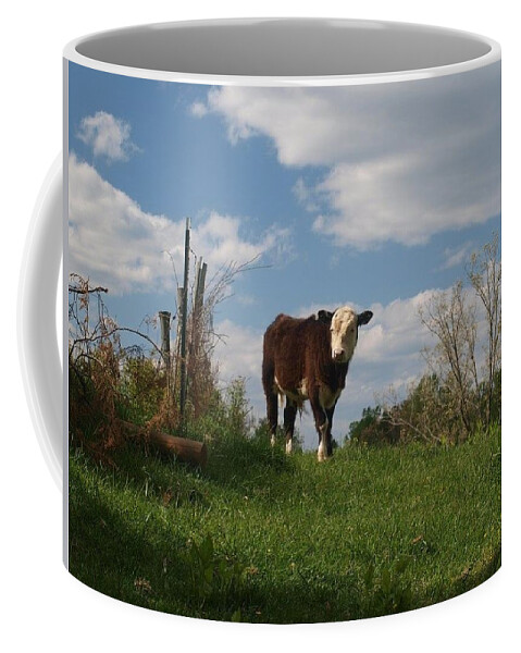 Baby Calf Coffee Mug featuring the photograph Thecalf by Susan Jenkins