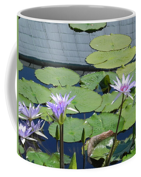Photography Coffee Mug featuring the photograph Their Own Kaleidoscope of Color by Chrisann Ellis