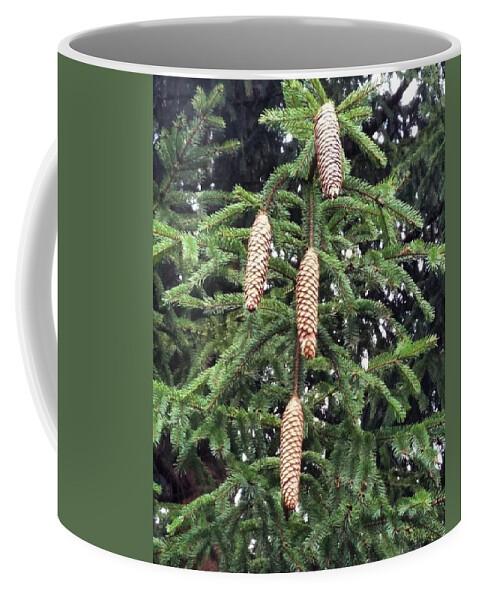 Pinecone Coffee Mug featuring the photograph Then There Were Four by Vic Ritchey