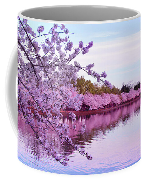 Cherry Blossom Coffee Mug featuring the photograph There Was A Time by Iryna Goodall