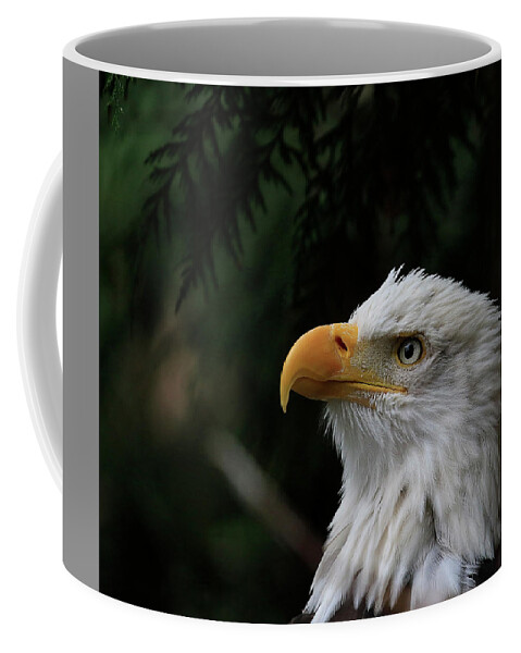 Eagle Coffee Mug featuring the photograph Things Are Looking Up by Steve McKinzie