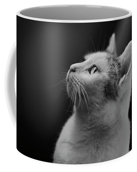 Cat Coffee Mug featuring the photograph Thinking of Mouse by Olga Valjakova