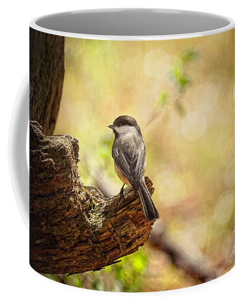 Bird Coffee Mug featuring the photograph Thinking of Spring by Lois Bryan