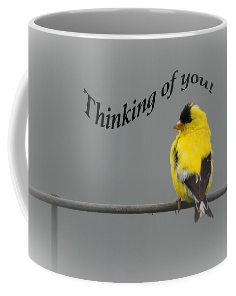 Thinking Of You Coffee Mug featuring the photograph Thinking of you - American Goldfinch by Holden The Moment