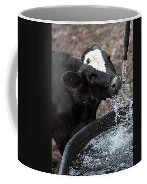 Cow Coffee Mug featuring the photograph Thirsty Cow by Holden The Moment