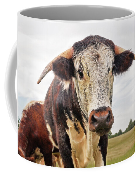 Brown Cow Coffee Mug featuring the photograph This Is My Field by Gill Billington