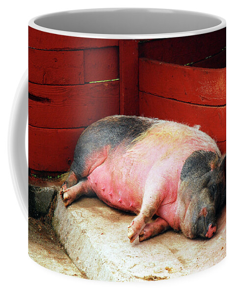Pig Coffee Mug featuring the photograph This little piggy went to sleep by James Kirkikis