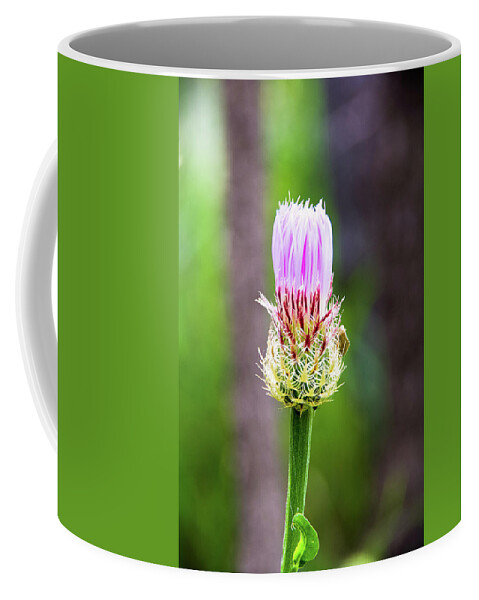 Canyon Coffee Mug featuring the photograph Thistle in the Canyon by Adam Reinhart