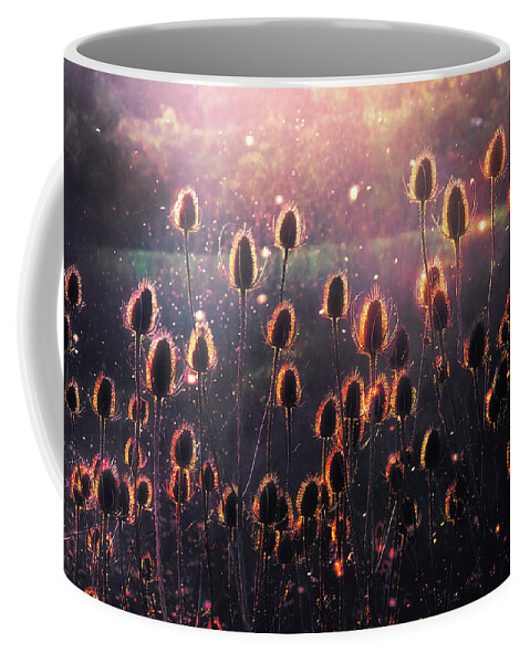 Thistles Coffee Mug featuring the photograph Thistles by Mikel Martinez de Osaba