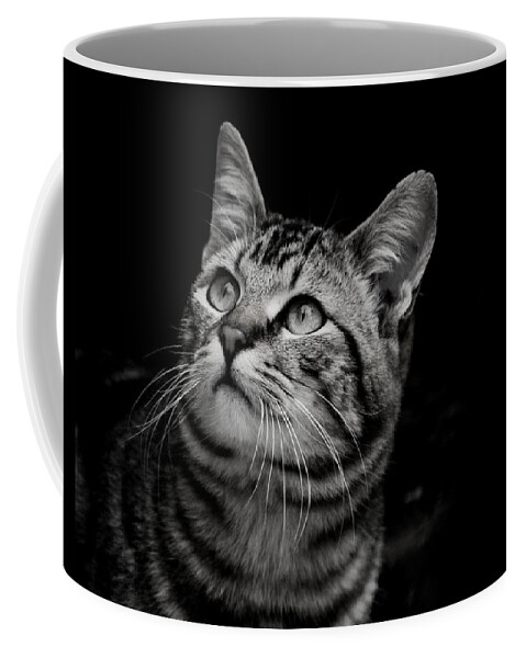 Cats Coffee Mug featuring the photograph Thoughtful Tabby by Chriss Pagani