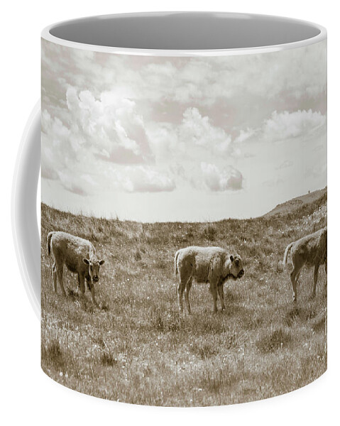 Three Buffalo Coffee Mug featuring the photograph Three buffalo calves by Rebecca Margraf