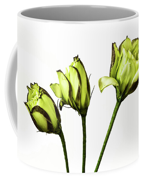 Lisianthus Coffee Mug featuring the photograph Three by Cheryl Day