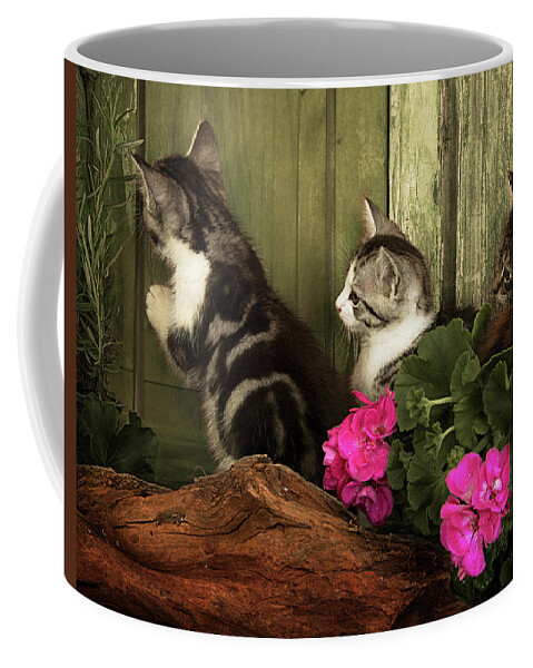 Kitten Coffee Mug featuring the photograph Three Cute Kittens Waiting At The Door by Ethiriel Photography