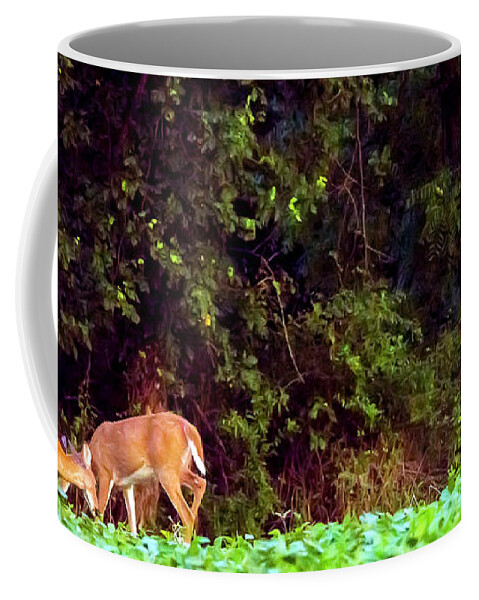 2d Coffee Mug featuring the photograph Three Doe by Brian Wallace