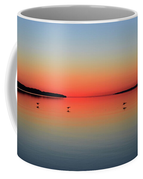 Abstract Coffee Mug featuring the photograph Three Ducks Flying By At Dawn by Lyle Crump
