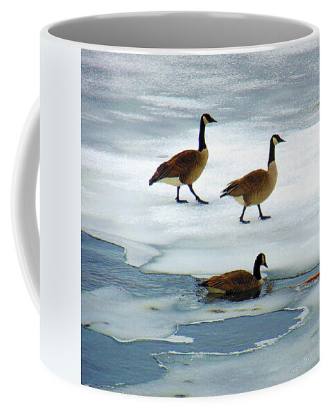 Winter Coffee Mug featuring the photograph Three Geese by Wild Thing