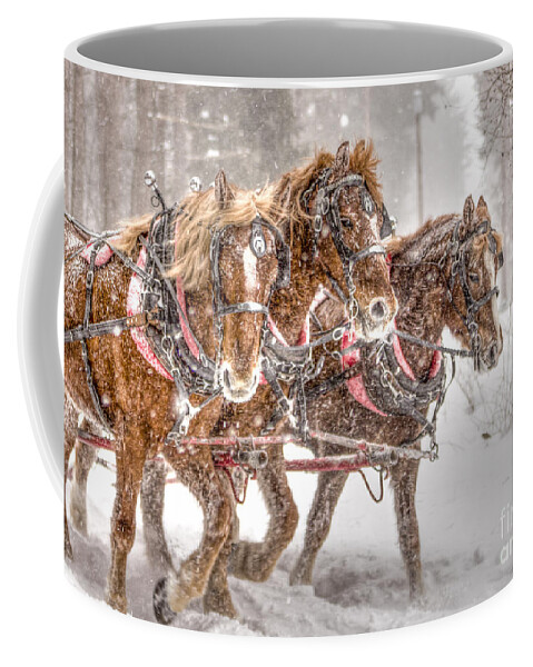 Horses Coffee Mug featuring the photograph Three Horses - Color by Rod Best