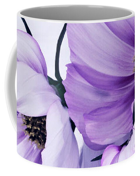 Cosmo Coffee Mug featuring the photograph Three Lavender Cosmos by Sandra Foster