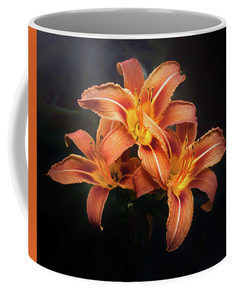 Lily Coffee Mug featuring the photograph Three Lilies by Scott Norris